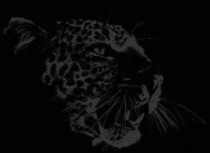 leopardpic